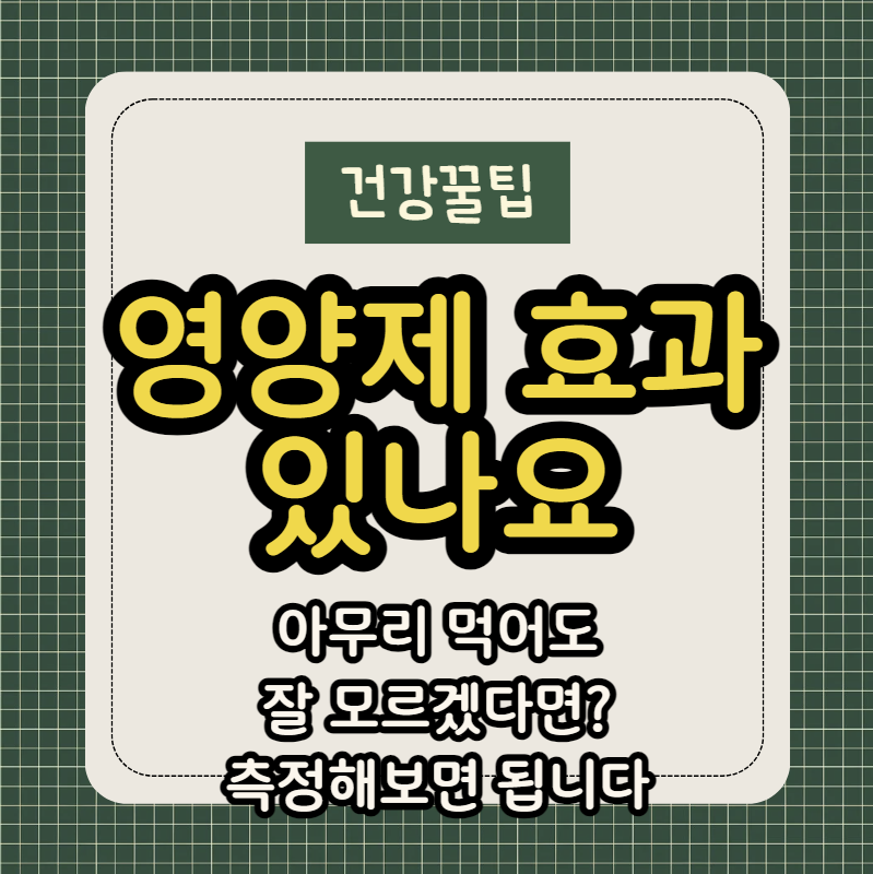 영양제 효과 있나요 제목 썸네일