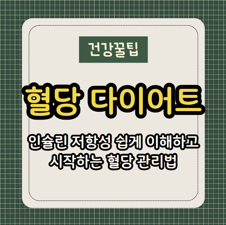 혈당다이어트 인슐린 저항성 쉽게 이해하고 시작하는 혈당 관리법