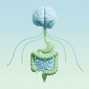 뇌와 위장이 연결되어 스트레스가 소화에 미치는 영향을 보여주는 인포그래픽