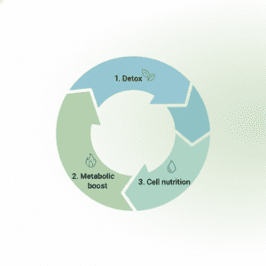 순환 회복 대사 정상화 영양 공급으로 이어지는 체인지90의 3단계 구조